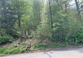 91 Lambert St, Central City, 15926, ,Farm-acreage-lot,For Sale,Lambert St,1700318