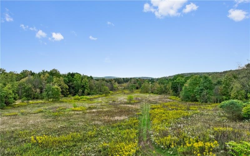 3836 William Penn Avenue, Johnstown, 15909, ,Farm-acreage-lot,For Sale,William Penn Avenue,1700486