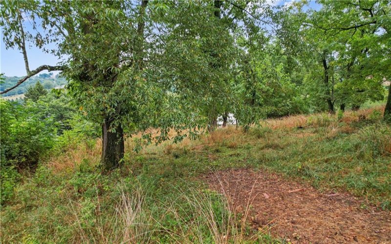 810 McElree Rd, Washington, 15301, 3 Bedrooms Bedrooms, ,1 BathroomBathrooms,Residential,For Sale,McElree Rd,1690693