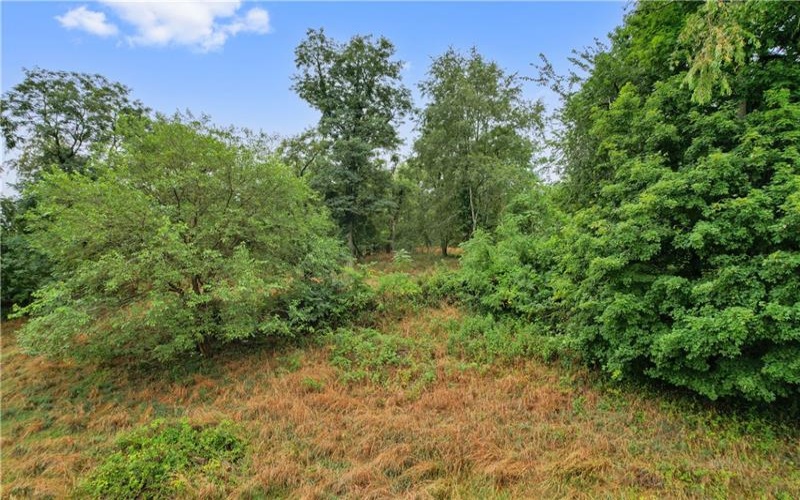 810 McElree Rd, Washington, 15301, 3 Bedrooms Bedrooms, ,1 BathroomBathrooms,Residential,For Sale,McElree Rd,1690693
