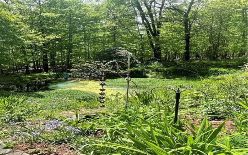 230 Trading Post Rd, Stoystown, 15563, 2 Bedrooms Bedrooms, 5 Rooms Rooms,1 BathroomBathrooms,Residential,For Sale,Trading Post Rd,1700773