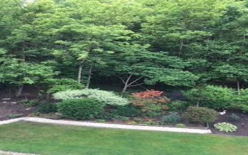 707 Cherry Blossom Court, Delmont, 15626, 3 Bedrooms Bedrooms, 9 Rooms Rooms,2.1 BathroomsBathrooms,Residential,For Sale,Cherry Blossom Court,1701017