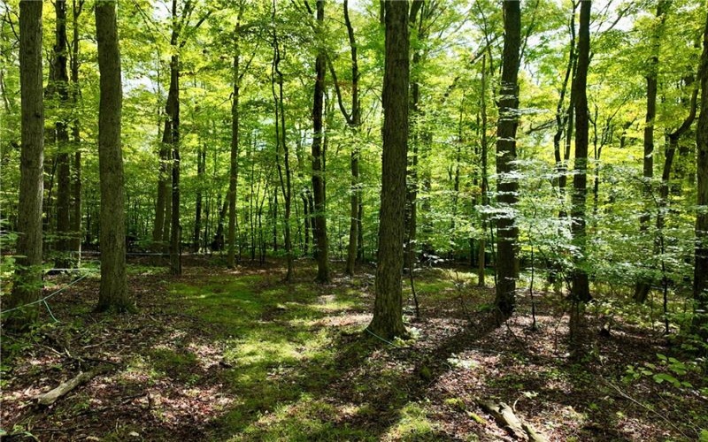 0 Trent Road, Somerset, 15501, ,Farm-acreage-lot,For Sale,Trent Road,1670823