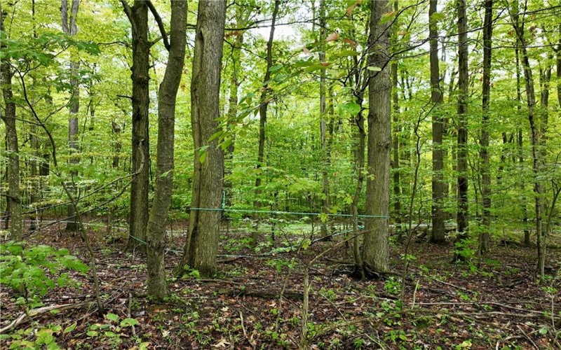0 Trent Road, Somerset, 15501, ,Farm-acreage-lot,For Sale,Trent Road,1670823