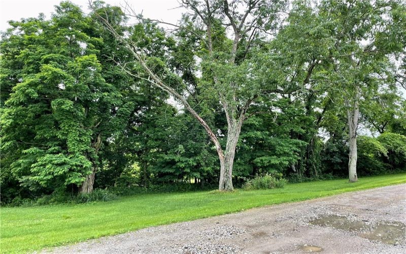 1027 Locust Ave, Washington, 15301, ,Multi-unit,For Sale,Locust Ave,1709838