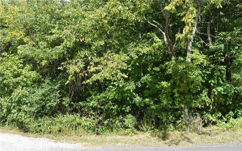31 Smith Place, Canonsburg, 15317, ,Farm-acreage-lot,For Sale,Smith Place,1720573