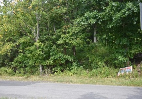 31 Smith Place, Canonsburg, 15317, ,Farm-acreage-lot,For Sale,Smith Place,1720573