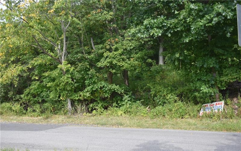 31 Smith Place, Canonsburg, 15317, ,Farm-acreage-lot,For Sale,Smith Place,1720573