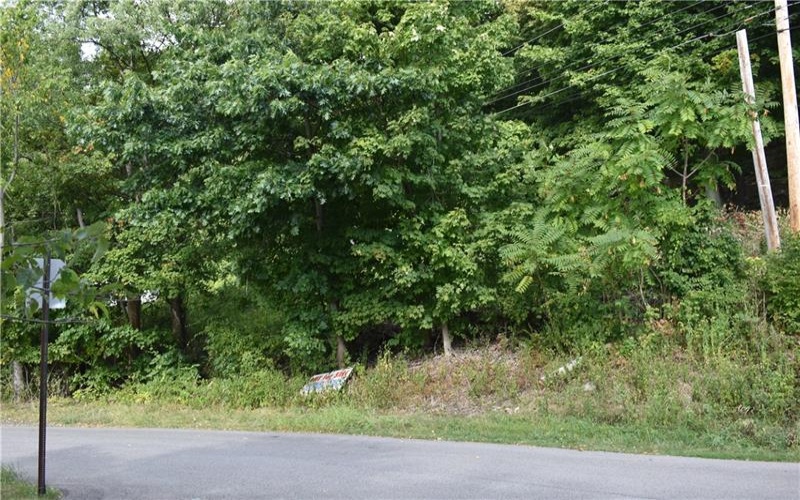 31 Smith Place, Canonsburg, 15317, ,Farm-acreage-lot,For Sale,Smith Place,1720573