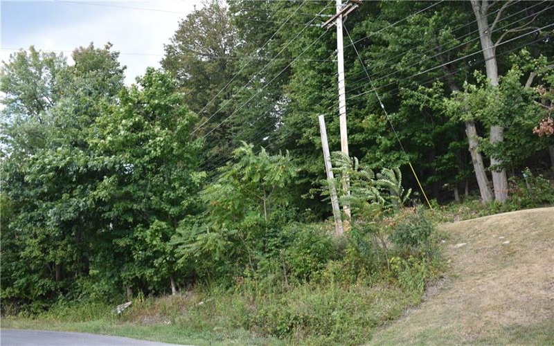 31 Smith Place, Canonsburg, 15317, ,Farm-acreage-lot,For Sale,Smith Place,1720573