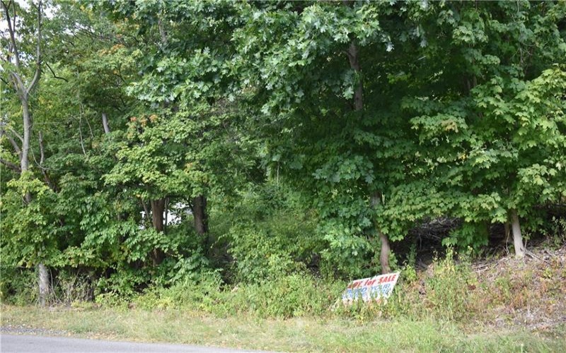 31 Smith Place, Canonsburg, 15317, ,Farm-acreage-lot,For Sale,Smith Place,1720573