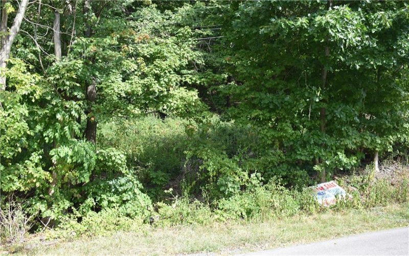 31 Smith Place, Canonsburg, 15317, ,Farm-acreage-lot,For Sale,Smith Place,1720573