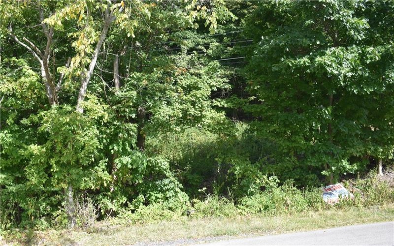 31 Smith Place, Canonsburg, 15317, ,Farm-acreage-lot,For Sale,Smith Place,1720573