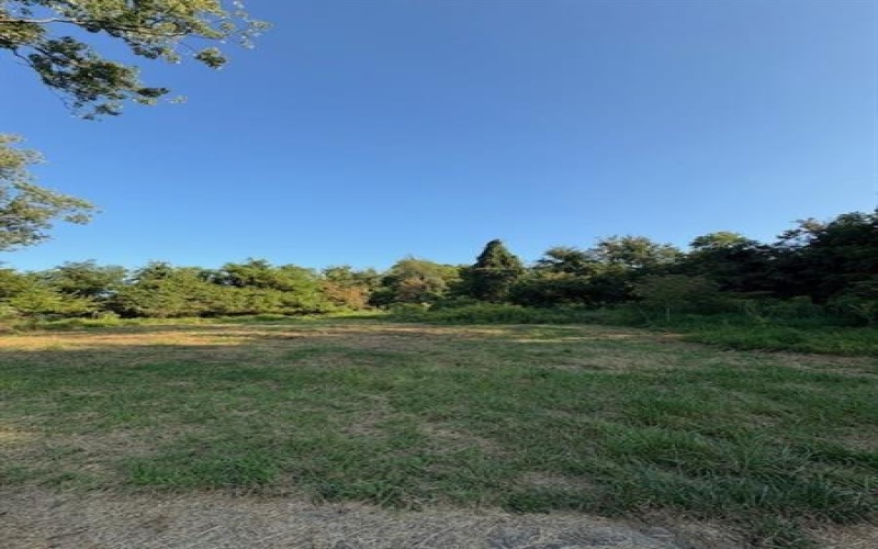 39 Harding Street, Manor, 15665, ,Farm-acreage-lot,For Sale,Harding Street,1721048