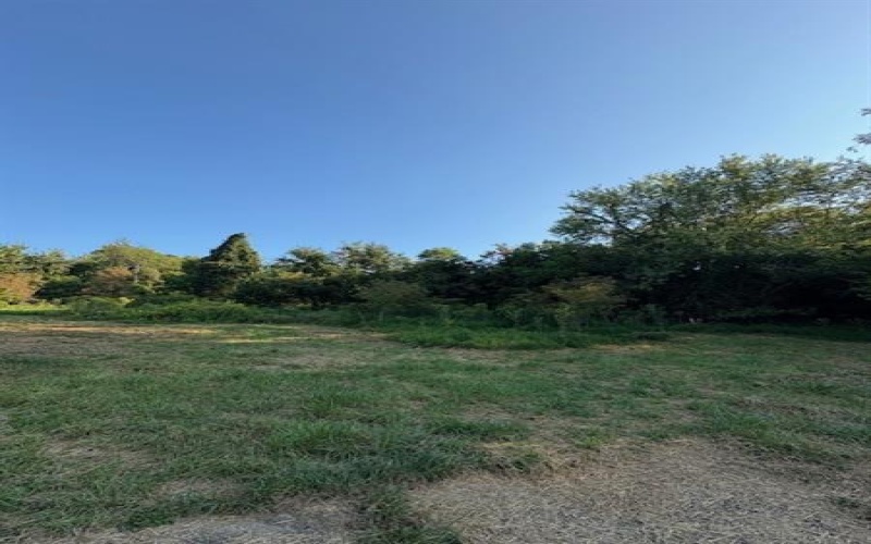 39 Harding Street, Manor, 15665, ,Farm-acreage-lot,For Sale,Harding Street,1721048