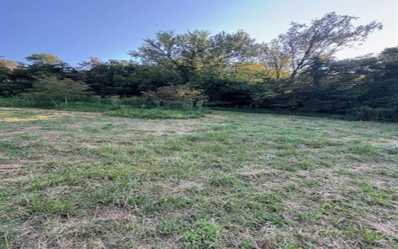 39 Harding Street, Manor, 15665, ,Farm-acreage-lot,For Sale,Harding Street,1721048