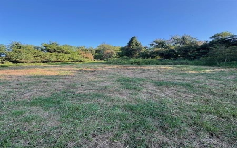 39 Harding Street, Manor, 15665, ,Farm-acreage-lot,For Sale,Harding Street,1721048
