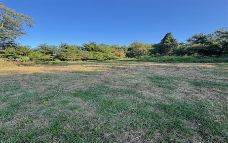 37B Harding Street, Manor, 15665, ,Farm-acreage-lot,For Sale,Harding Street,1721049
