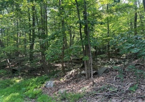 LOT 934 Ski Slope RD, Acme, 15610, ,Farm-acreage-lot,For Sale,Ski Slope RD,1711192