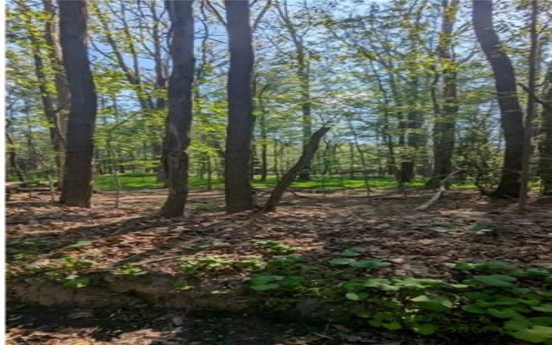 4 Horse Shoe Bend Rd, Acme, 15610, ,Farm-acreage-lot,For Sale,Horse Shoe Bend Rd,1711445