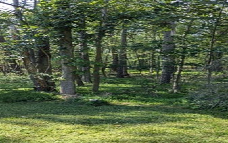4 Horse Shoe Bend Rd, Acme, 15610, ,Farm-acreage-lot,For Sale,Horse Shoe Bend Rd,1711445
