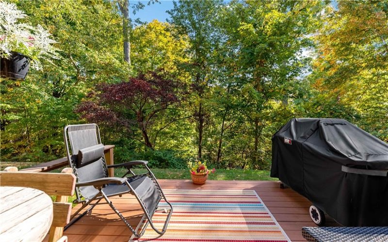 2305 Swiss Mountain Dr, Champion, 15622, 2 Bedrooms Bedrooms, ,2 BathroomsBathrooms,Residential,For Sale,Swiss Mountain Dr,1721510