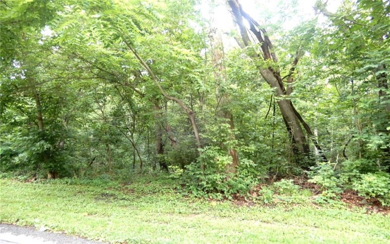 Lot 1 Canterbury Lane, McMurray, 15317, ,Farm-acreage-lot,For Sale,Canterbury Lane,1711516