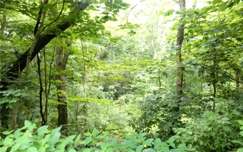 Lot 1 Canterbury Lane, McMurray, 15317, ,Farm-acreage-lot,For Sale,Canterbury Lane,1711516