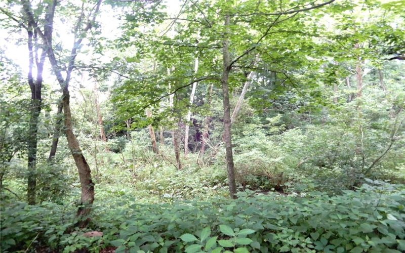 Lot 1 Canterbury Lane, McMurray, 15317, ,Farm-acreage-lot,For Sale,Canterbury Lane,1711516