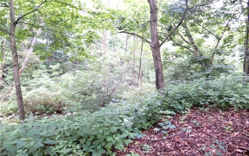 Lot 1 Canterbury Lane, McMurray, 15317, ,Farm-acreage-lot,For Sale,Canterbury Lane,1711516