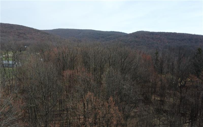 222 Hopwood Coolspring Rd, Hopwood, 15445, ,Farm-acreage-lot,For Sale,Hopwood Coolspring Rd,1721621