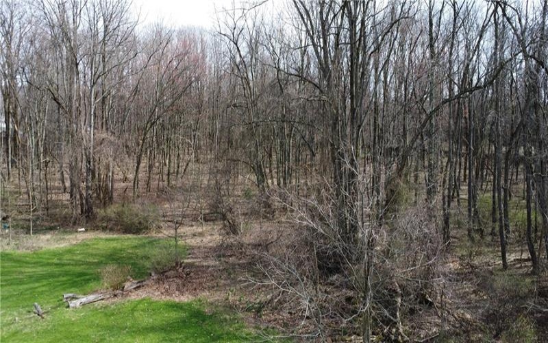 222 Hopwood Coolspring Rd, Hopwood, 15445, ,Farm-acreage-lot,For Sale,Hopwood Coolspring Rd,1721621