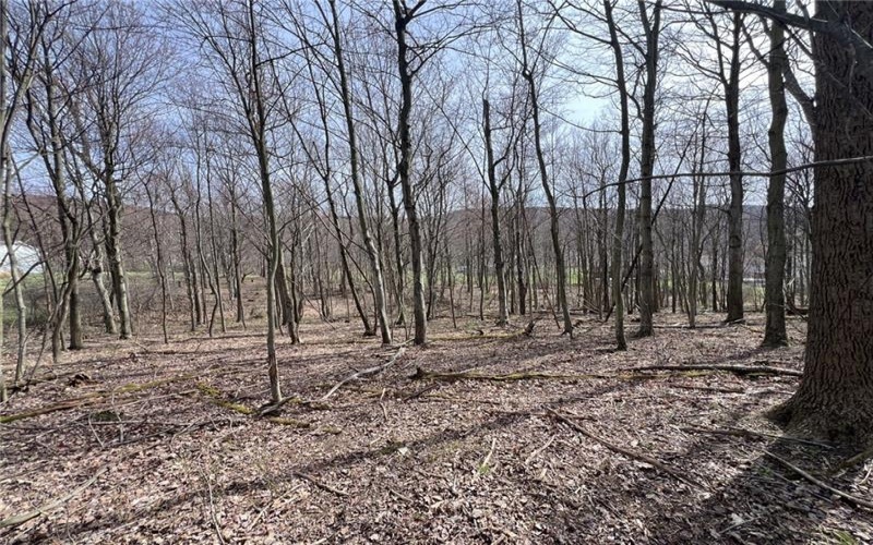 222 Hopwood Coolspring Rd, Hopwood, 15445, ,Farm-acreage-lot,For Sale,Hopwood Coolspring Rd,1721621