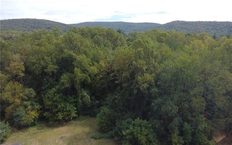 222 Hopwood Coolspring Rd, Hopwood, 15445, ,Farm-acreage-lot,For Sale,Hopwood Coolspring Rd,1721621