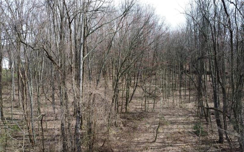 222 Hopwood Coolspring Rd, Hopwood, 15445, ,Farm-acreage-lot,For Sale,Hopwood Coolspring Rd,1721621