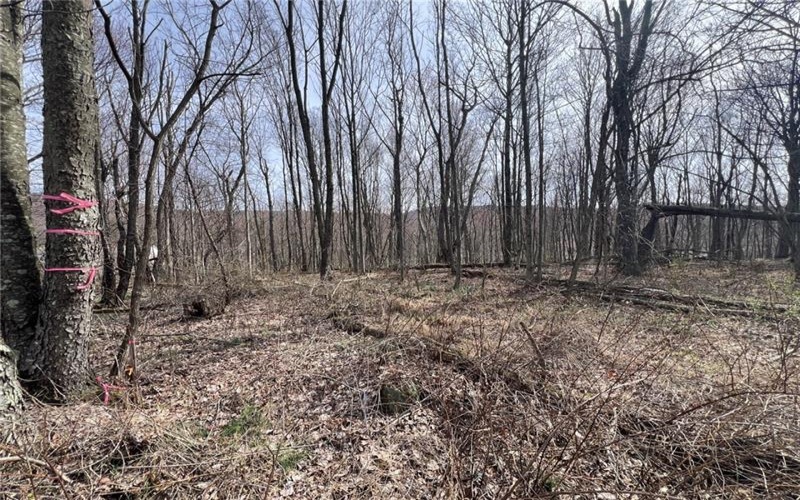 222 Hopwood Coolspring Rd, Hopwood, 15445, ,Farm-acreage-lot,For Sale,Hopwood Coolspring Rd,1721621