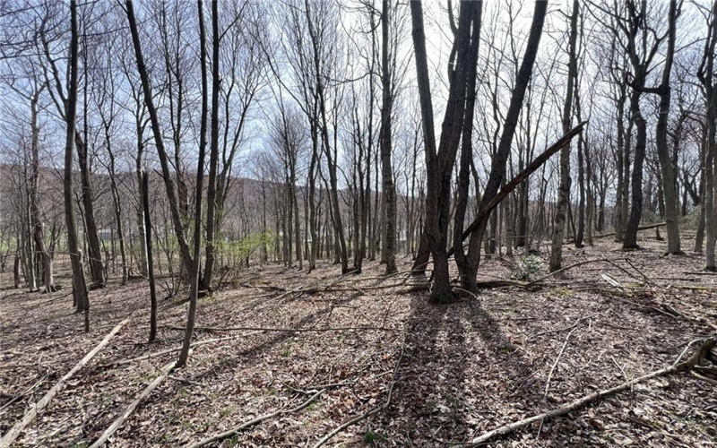 222 Hopwood Coolspring Rd, Hopwood, 15445, ,Farm-acreage-lot,For Sale,Hopwood Coolspring Rd,1721621