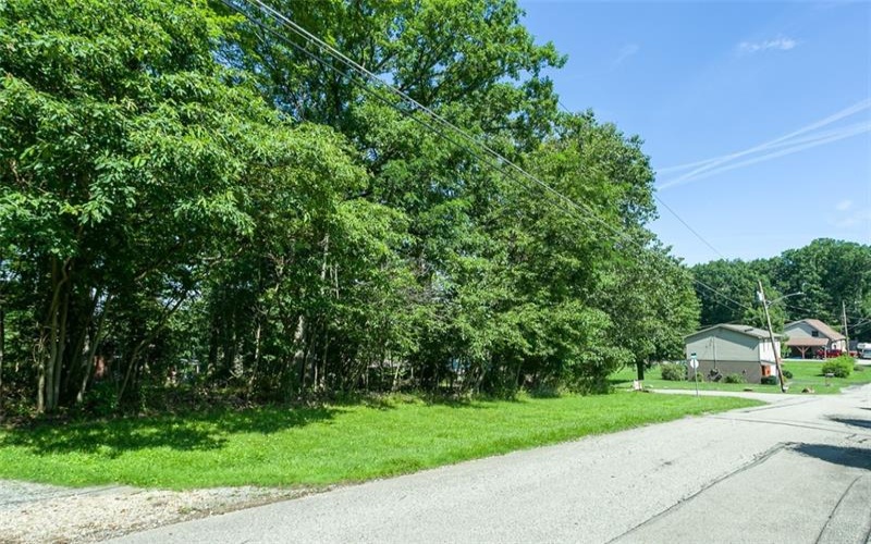 0 Walnut St, Connellsville, 15425, ,Farm-acreage-lot,For Sale,Walnut St,1711868
