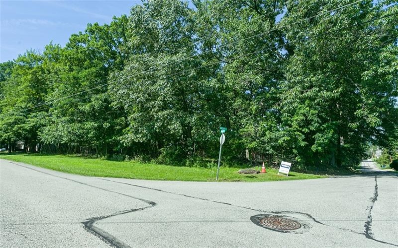0 Walnut St, Connellsville, 15425, ,Farm-acreage-lot,For Sale,Walnut St,1711868