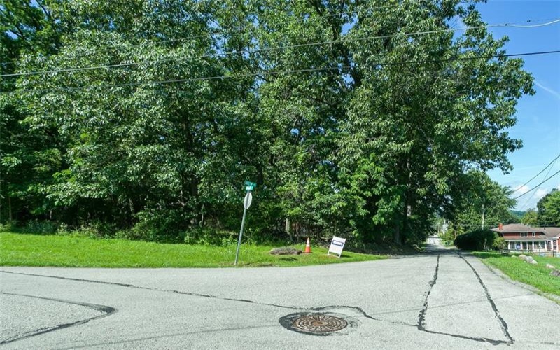 0 Walnut St, Connellsville, 15425, ,Farm-acreage-lot,For Sale,Walnut St,1711868