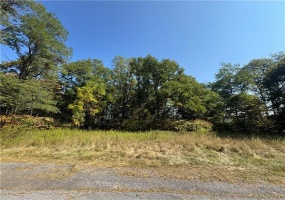 0 Mary Ann Court, Johnstown, 15906, ,Farm-acreage-lot,For Sale,Mary Ann Court,1722114 0 Mary Ann Court, Johnstown, 15906, ,Farm-acreage-lot,For Sale,Mary Ann Court,1722114