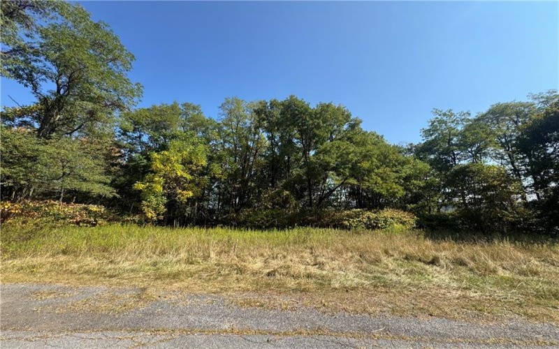 0 Mary Ann Court, Johnstown, 15906, ,Farm-acreage-lot,For Sale,Mary Ann Court,1722114