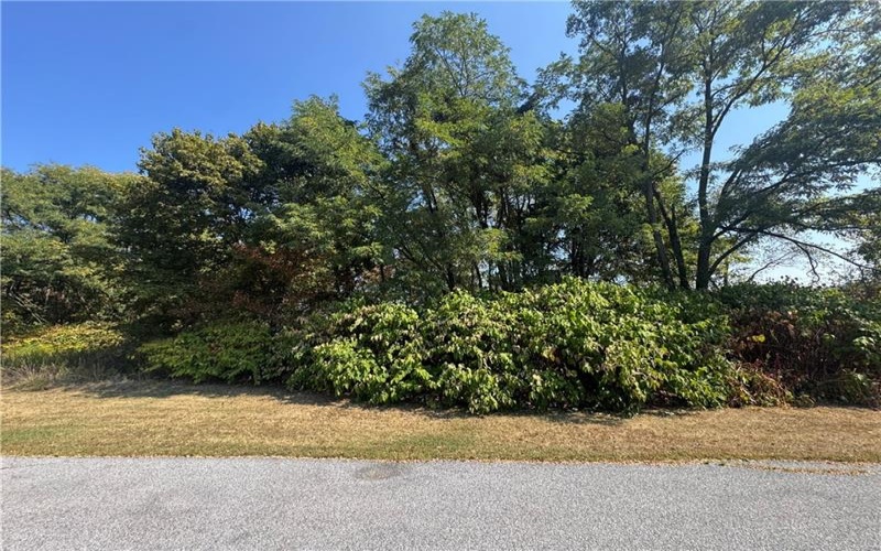 0 Mary Ann Court, Johnstown, 15906, ,Farm-acreage-lot,For Sale,Mary Ann Court,1722114