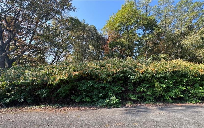 0 Mary Ann Court, Johnstown, 15906, ,Farm-acreage-lot,For Sale,Mary Ann Court,1722114