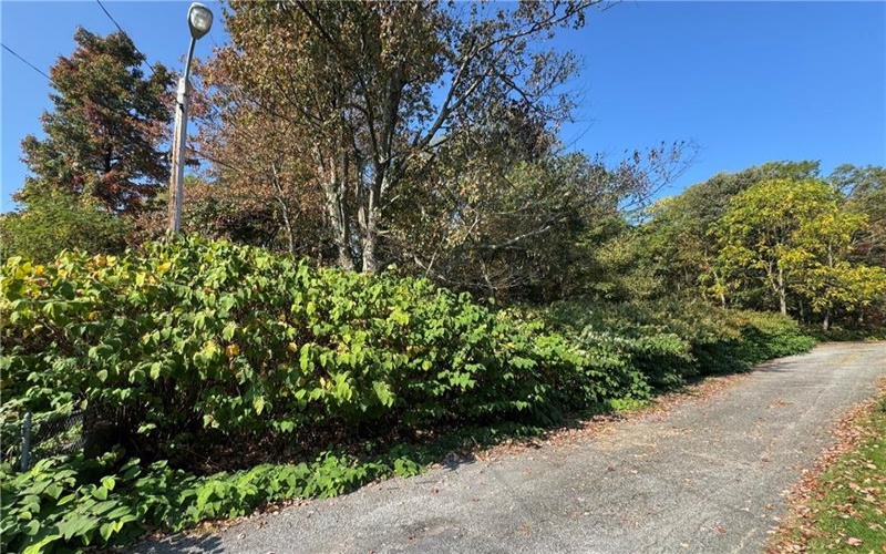 0 Mary Ann Court, Johnstown, 15906, ,Farm-acreage-lot,For Sale,Mary Ann Court,1722114