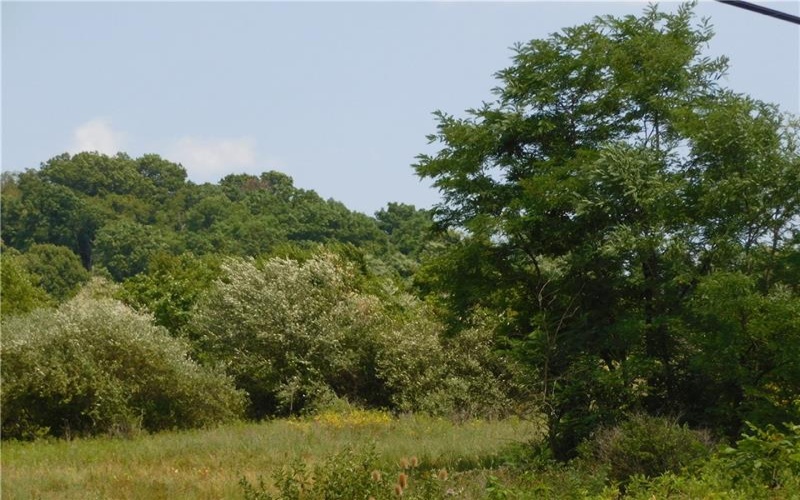970 New Salem Road, New Salem, 15468, ,Farm-acreage-lot,For Sale,New Salem Road,1711902