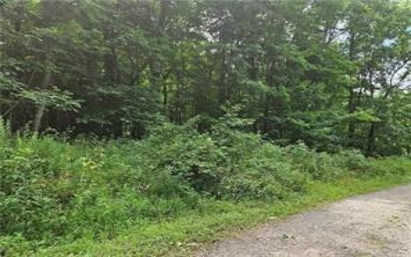 Lot 17/18 Tanager, New Alexandria, 15670, ,0.1 BathroomBathrooms,Farm-acreage-lot,For Sale,Tanager,1722146