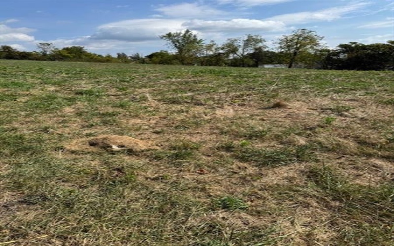0 McGovern, Washington, 15301, ,Farm-acreage-lot,For Sale,none,McGovern,1722195