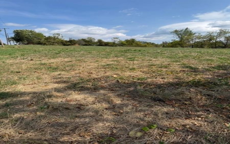 0 McGovern, Washington, 15301, ,Farm-acreage-lot,For Sale,none,McGovern,1722195