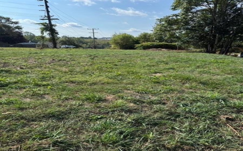 0 Fayette & Atlas, Washington, 15301, ,Farm-acreage-lot,For Sale,none,Fayette & Atlas,1722196